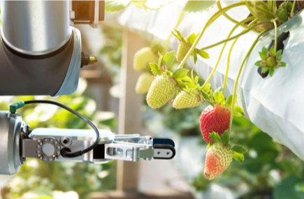 How Technology Is Driving Innovation in Food Production