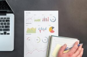 audit and performance report