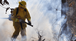 Fire Risk Assessment