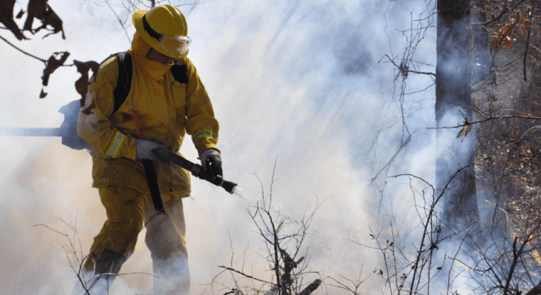 Fire Risk Assessment