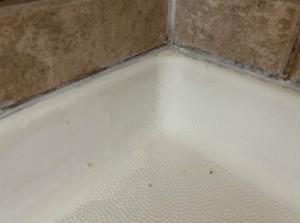The Musty Bathroom Smell That Caulk Will Never Fix